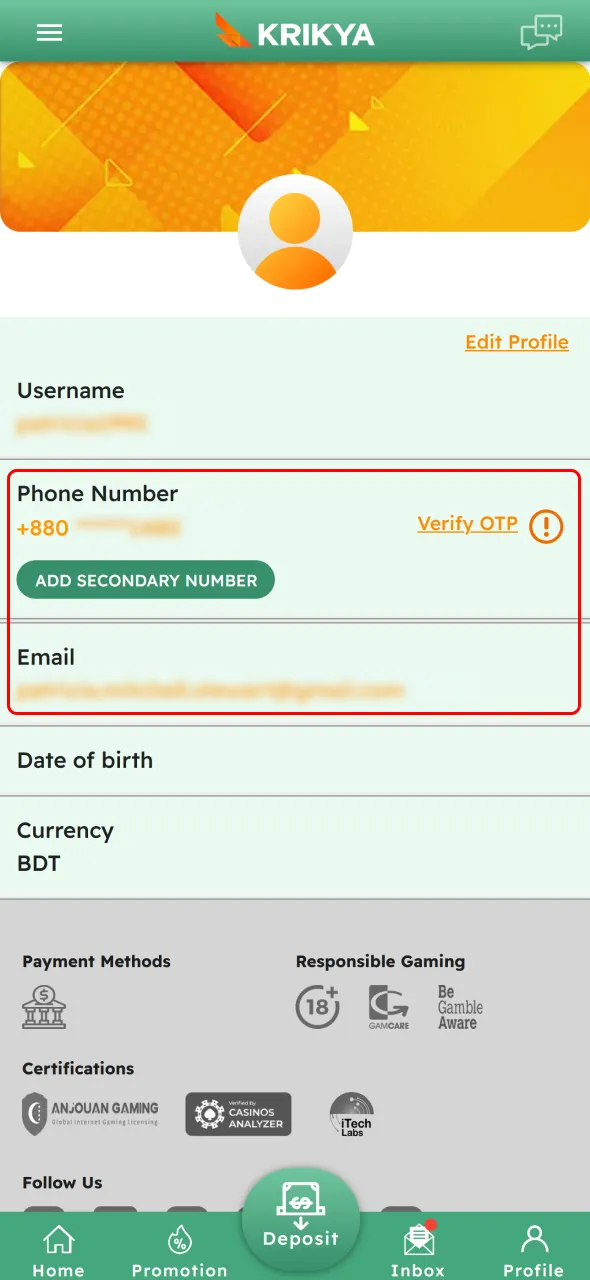 Verify your Krikya account details for secure casino access.