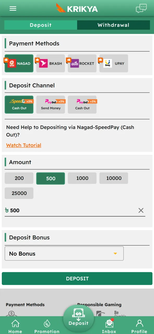 Deposit funds on Krikya to place your first CS2 bet.